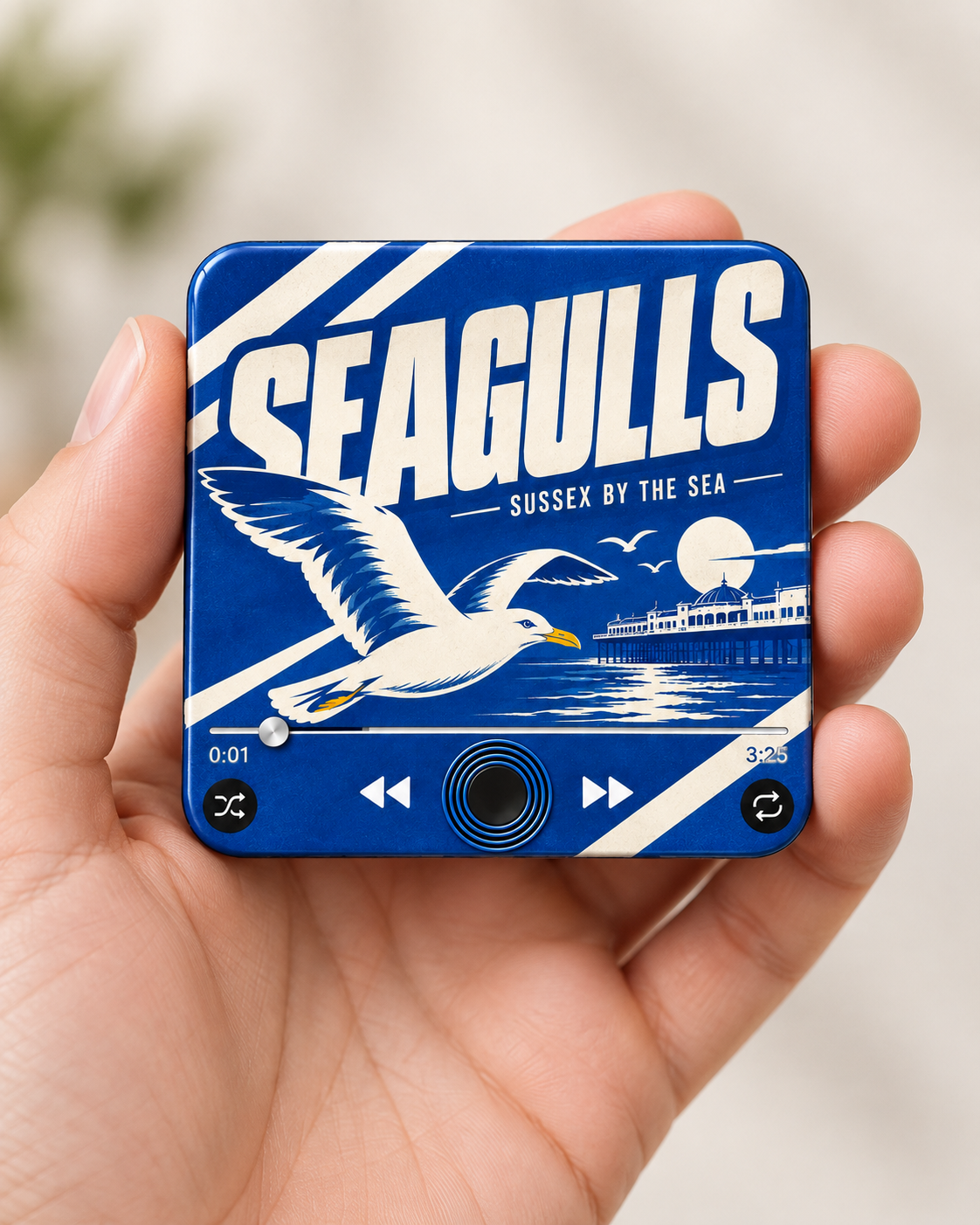 Sussex blue and white football sound magnet in hand
