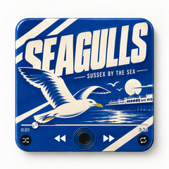 Sussex blue and white football sound magnet